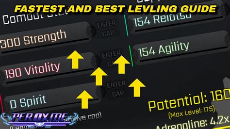 Image result for Leveling Guide Purdance