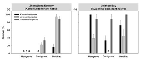 The Opposite of Biotic Resistance: Herbivory and Competition Suppress ...
