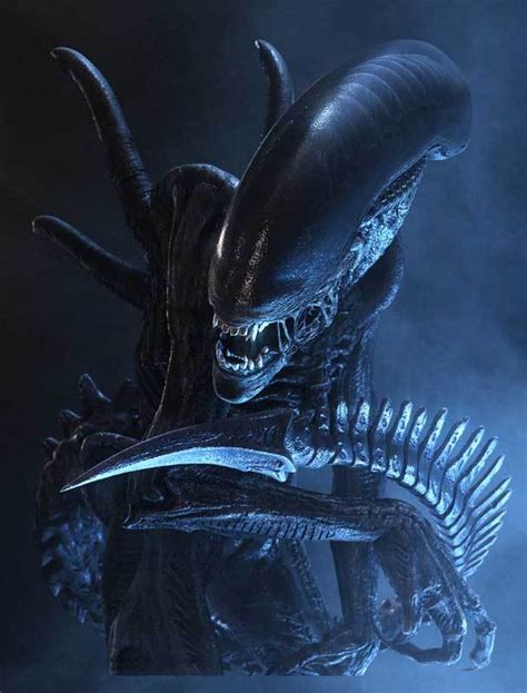 Image result for Alien En France