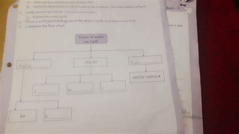 please answer this question - Brainly.in