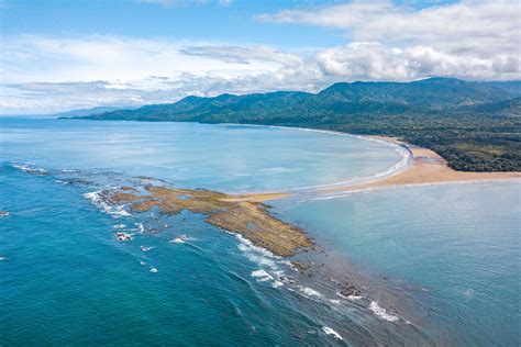 10 tips for whale watching in Uvita, Costa Rica | Rough Guides