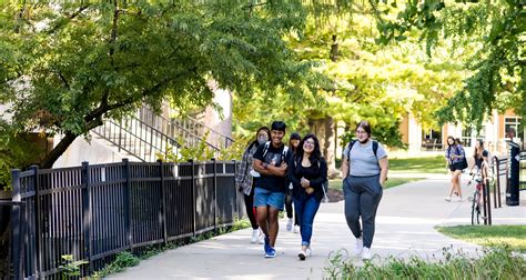 Externship vs. Internship: What's the Difference? | North Central College