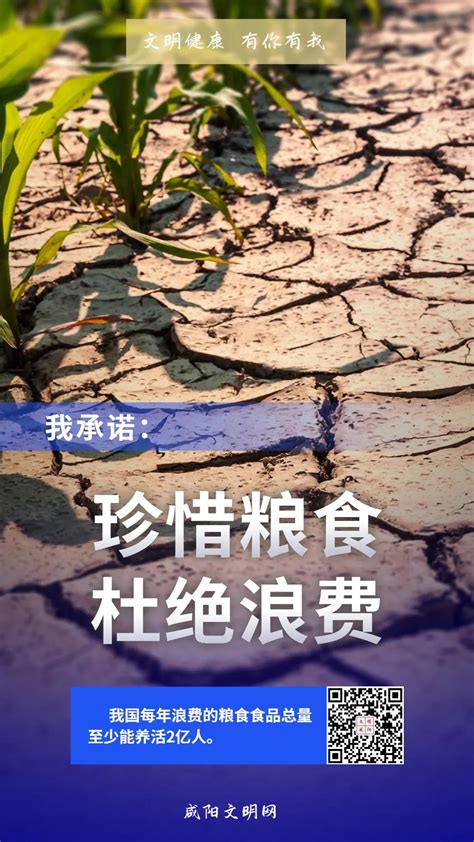 咸阳制作拒绝餐饮浪费系列公益广告---中国文明网