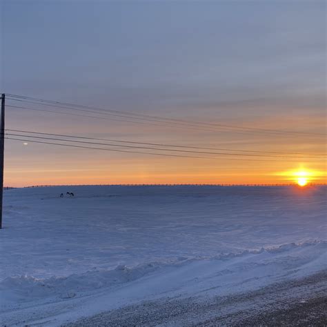Barrow Alaska Midnight Sun 的图像结果