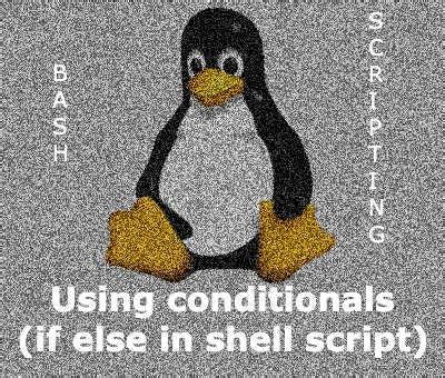 Image result for Shell Script Elif Example