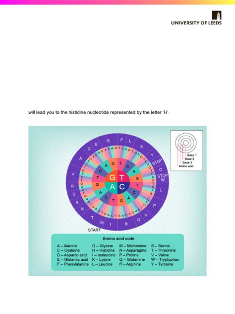 Image result for Codon Chart Reading
