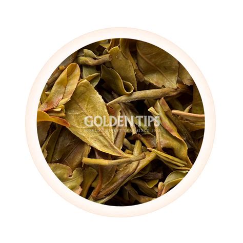 Buy Premium Darjeeling Teas 2025 – Golden Tips Tea (India)