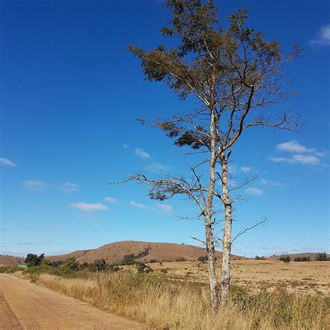 LEKGALAMEETSE RESORT MAKUTSI CAMP (Polokwane) - Cottage Reviews ...