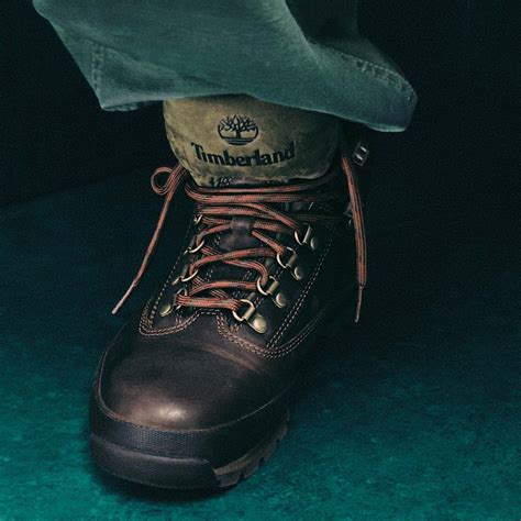 Euro Hiker Leather Boot for Men in Brown