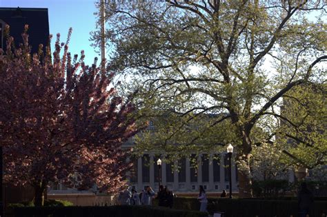 The ultimate guide to Columbia’s dining halls - Columbia Spectator