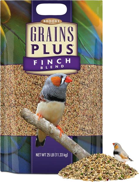 Amazon.com : Brooks Brand Grains Plus Finch Blend Bird Food, Nyjer ...