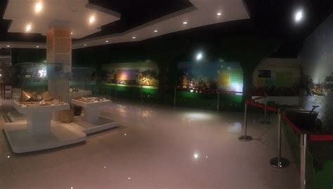 CLARK MUSEUM AND 4D THEATER - All You Need to Know BEFORE You Go 2026 ...