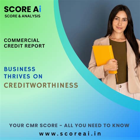Insight into Your Commercial Credit Report: Understanding the CMR Score