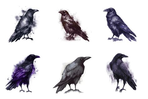 Raven Clip Art