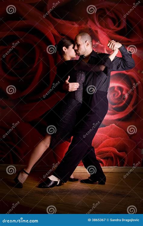 Couple in Love at the Nightclub Stock Image - Image of dancing, latin ...