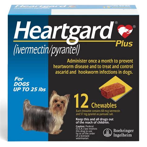 Heartgard vs. Heartgard Plus: Vet-Verified Differences? – Dogster