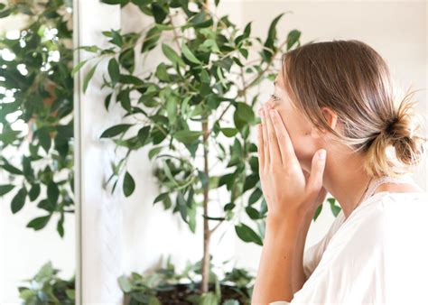 A Holistic Approach to Healing Rosacea | Jamele Skincare