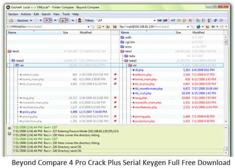 Beyond Compare 4 Pro Crack Plus Serial Keygen Full Free Download