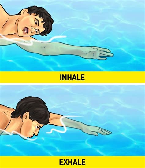Image result for Tutorial How to Swim