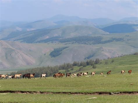 Uvs Province Tourism (2024): All You Need to Know Before You Go