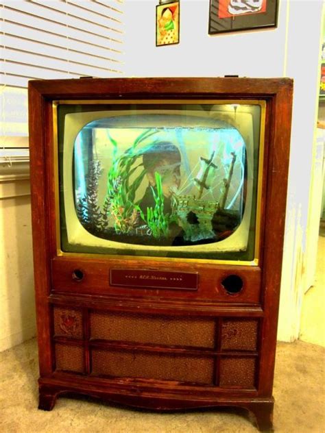 Bildergebnis für tv fish aquarium
