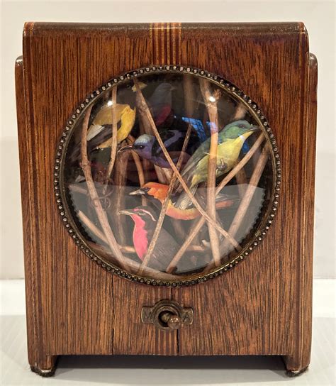 SHELTERING IN PLACE – Amy Walker Schott