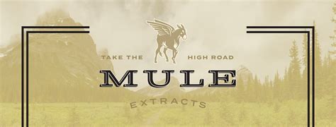 Local World 的图像结果