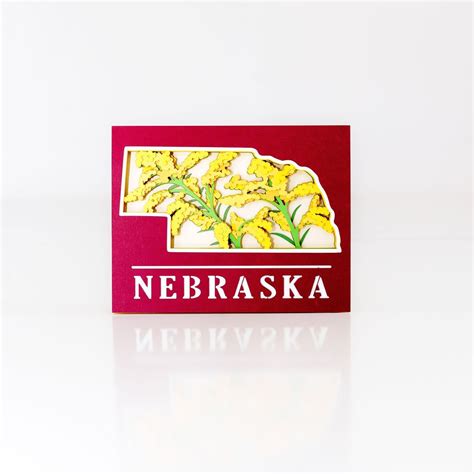 Nebraska State Flower —Simply Your Way 3D Mandala Art & Decor Art 3D ...
