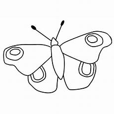 ausmalbilder tiere schmetterling kostenlose malvorlage tiere ausmalbild schmetterling zum ausmalbilder tiere schmetterling kostenlose malvorlage tiere ausmalbild schmetterling zum