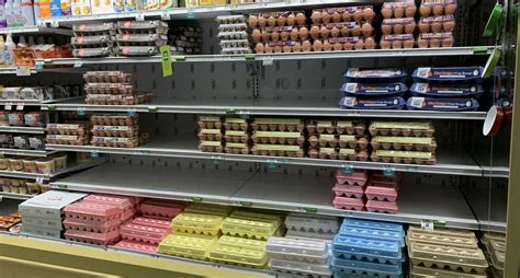 Eggs Cost At Publix at Lauren Murphy blog