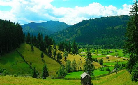 Image result for Maina Comuna