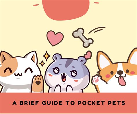 A Brief Guide to Pocket Pets