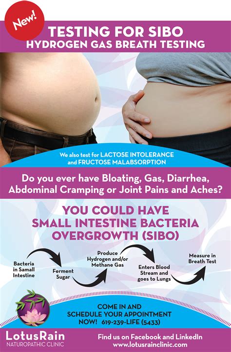 New Testing For SIBO Small Intestine Bacteria Overgrowth - LotusRain Clinic
