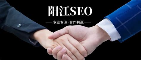 阳江SEO - 阳江网站优化、百度推广、网络营销 - 传播蛙