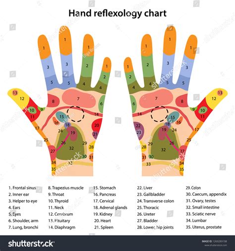 Hand Reflexology Chart | Hand Reflexology, Reflexology Chart, Reflexology