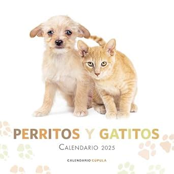 Amazon.in: Buy Calendario Perritos y Gatitos 2025 Book Online at Low ...