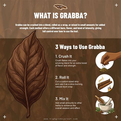 What Is Grabba? | Blog For All Things Grabba Leaf
