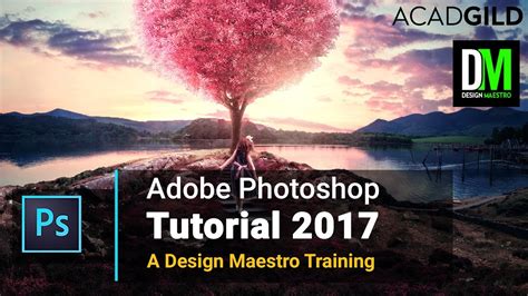 Image result for Learning Step by Step Photo Shop