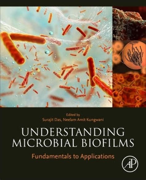 Buy Understanding Microbial Biofilms: Fundamentals to Applications Book ...