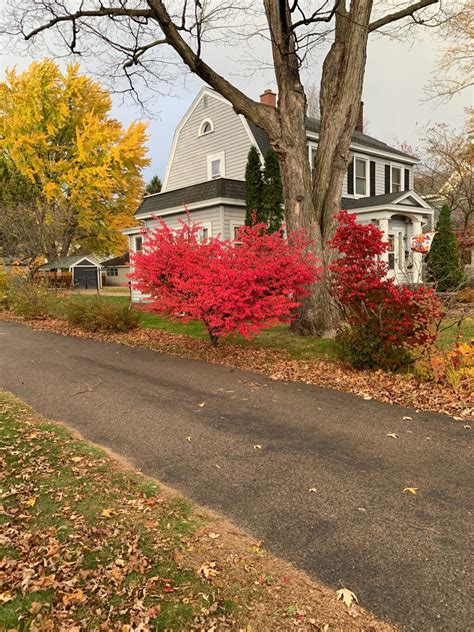 Concrete vs. Asphalt Driveways and Walkways: Heritage Drives