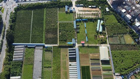 广东东莞维康生态园,田园田野,自然风景,摄影,汇图网www.huitu.com