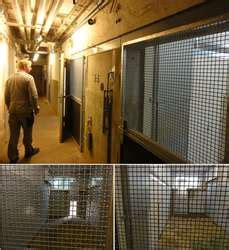 ZooLex Exhibit - Africambo: Elephants and cohabiting species