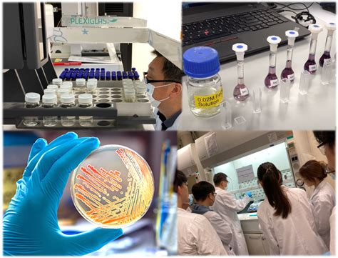 Image result for Science Testing