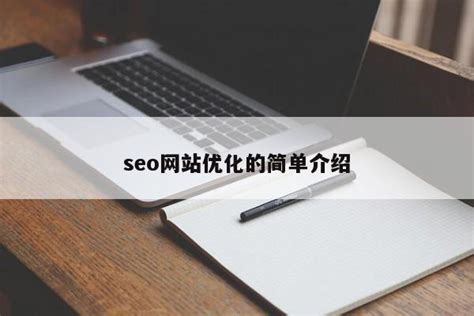 seo网站优化的简单介绍-维启网络