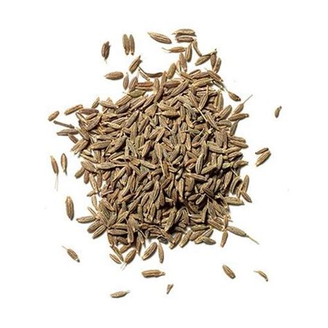 Jual Cumin seed 500gr / biji jinten utuh berkualitas - Jakarta Timur ...