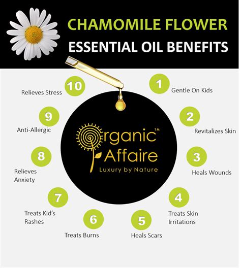 Our Ingredients – Organic Affaire