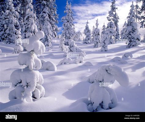 Pass santiam hi-res stock photography and images - Alamy