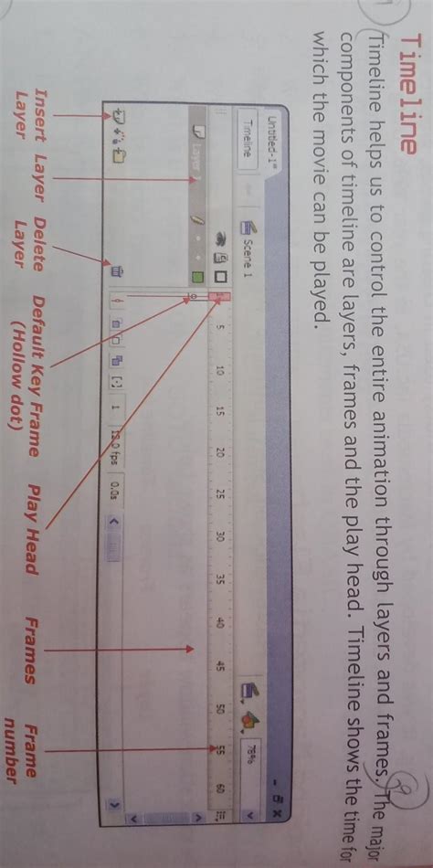 in which write about timelines ??????????????????? - Brainly.in