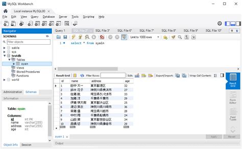 PowerShell Form Query MySQL 的图像结果