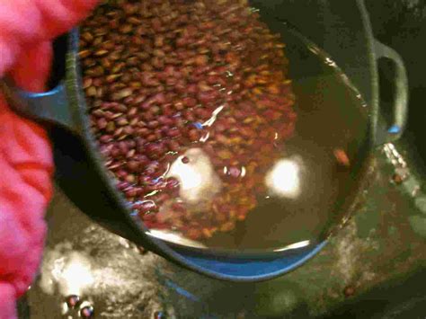 Recipes for Tom: Tsubuan / sweetened crumbly azuki bean paste